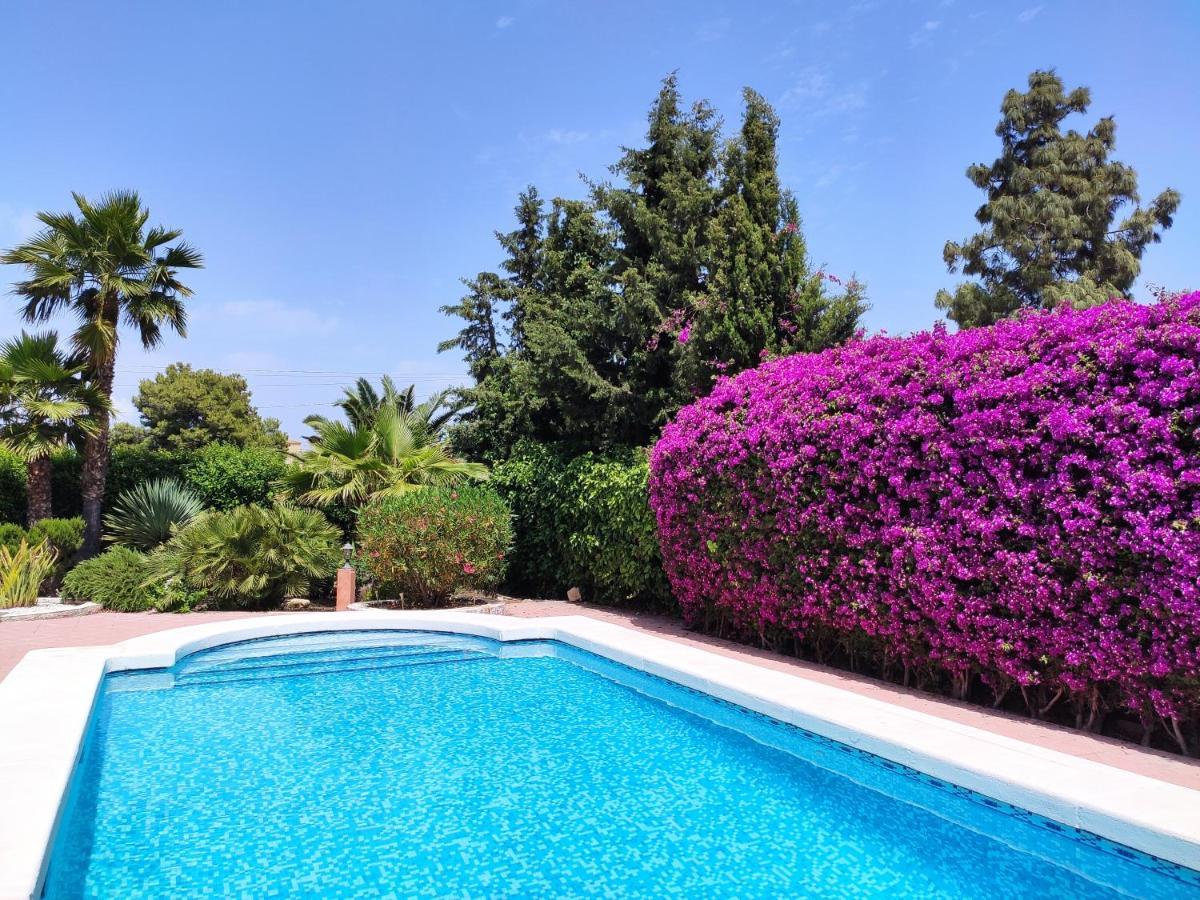 Villa With Private Pool, Bbq, Fitness Center & Sauna Sant Vicent del Raspeig  Exterior foto