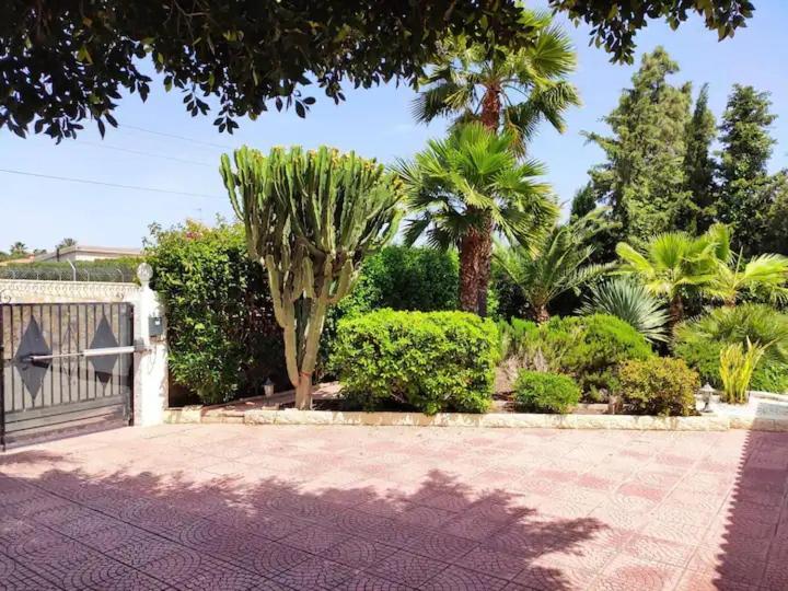 Villa With Private Pool, Bbq, Fitness Center & Sauna Sant Vicent del Raspeig  Exterior foto
